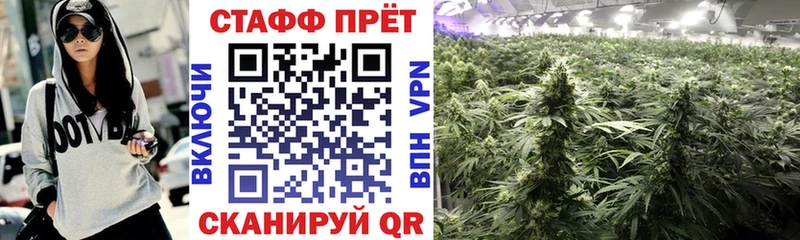 Виды наркоты Харовск Гашиш Конопля КОКАИН APVP Меф мяу мяу