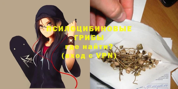 PSILOCYBIN Алексин