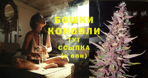 PSILOCYBIN Алексин