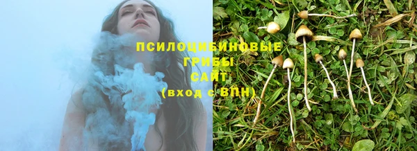 не бодяженный Алзамай
