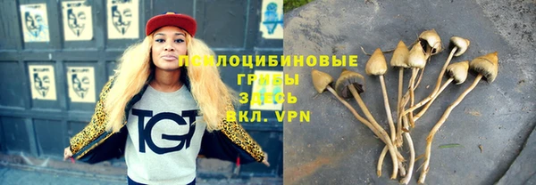 метадон Алексеевка